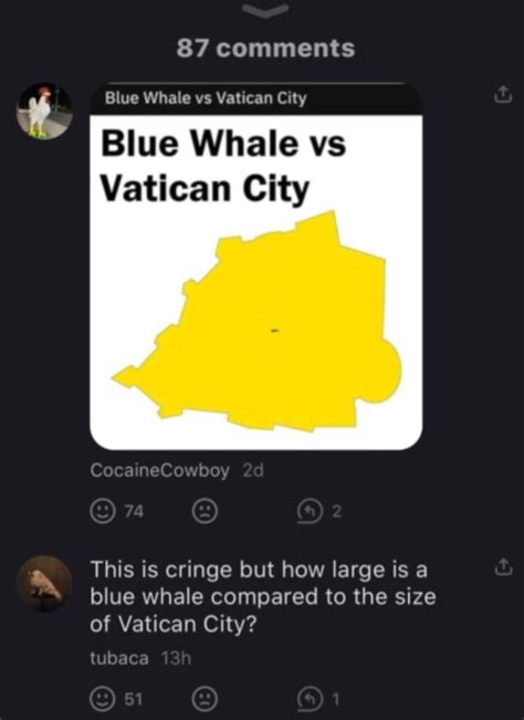 Comments Blue Whale Vs Vatican City Blue Whale Vs Vatican City