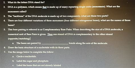 Solved What do the letters DNA stand for?DNA is a polymer, | Chegg.com