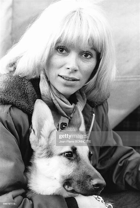 Portrait De Lactrice Française Mireille Darc Avec Un Chien Berger