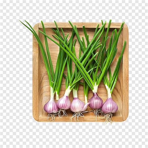 Allium Sativum Isolated On A Transparent Background Premium AI