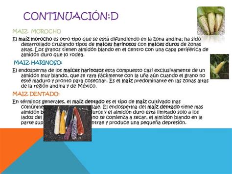 Proyecto De Profundizaci N Ppt