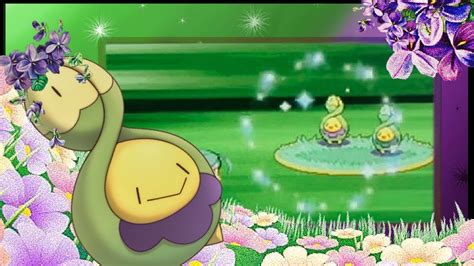 Live Shiny Budew On A Jumpshot After Res In Eterna Forest