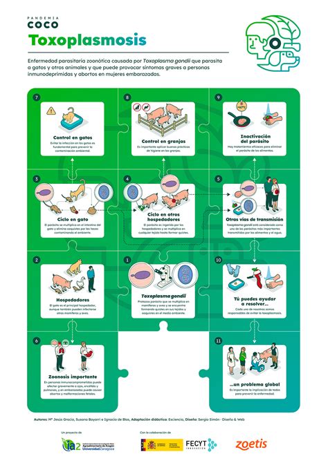 Toxoplasmosis Proyectos De Divulgaci N Del Instituto Agroalimentario
