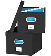 Amazon Dywmm Hanging File Box With Lid Set Of Filing Organizer