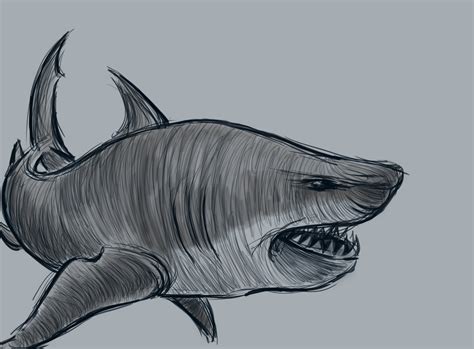 Death By Sketches: Michelle's Shark