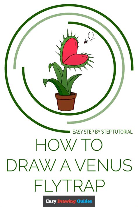 How To Draw A Venus Flytrap Really Easy Drawing Tutorial Venus Fly