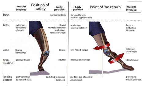 MCL Sprains Part 2 - Treatment, Rehab & Prevention | POGO Physio Gold Coast