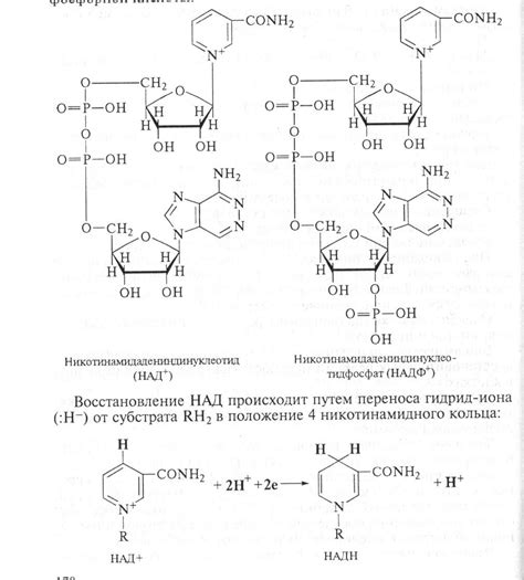 9.3. Гормоны местного действия