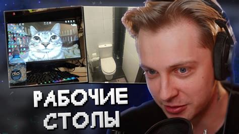 СТИНТ ОЦЕНИВАЕТ РАБОЧИЕ МЕСТА ПОДПИСЧИКОВ - YouTube