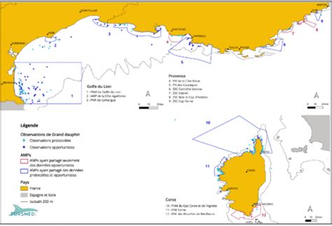 Suivi Harmonis Et Int Gr Du Grand Dauphin Au Sein Du R Seau D Amps De