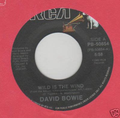 Popsike DAVID BOWIE WILD IS THE WIND CANADA 7 Auction