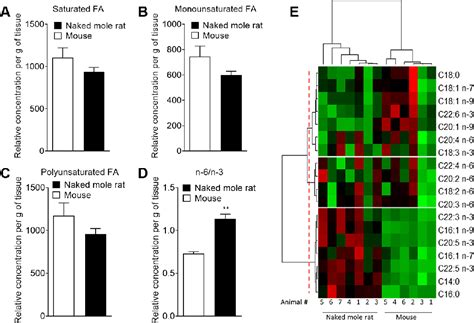 Figure From Cholesterol Rich Naked Mole Rat Brain Lipid Membranes Are