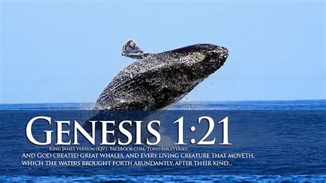 Word Bible Verses And Dolphins Hd Wallpaper Pxfuel