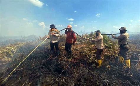 Karhutla Hektar Lahan Gambut Kedalaman Meter Di Rohul Berhasil