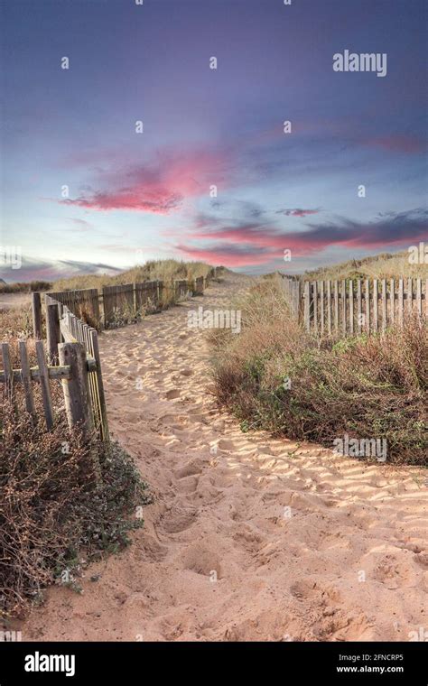 Beach Fence Sand Dunes Dune Grass Sunny Dune Sand High Resolution Stock