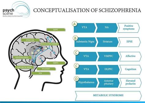 The Dopamine Hypothesis Of Schizophrenia Advances In Neurobiology