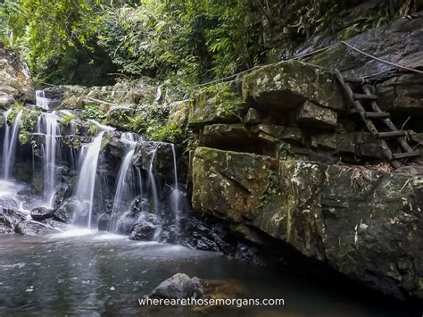 5 Reasons To Visit The Botanic Gardens In Phong Nha