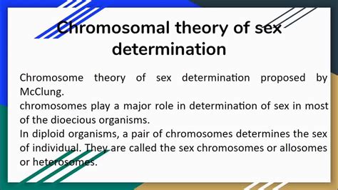 Genic Balance Theory And Chromosomal Theory Of Sex Determination YouTube