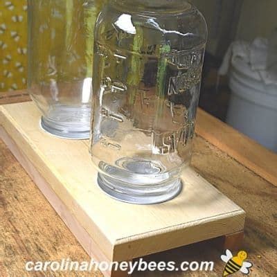 Bee Feeder DIY - How to Make Your Own Bee Feeder - Pet Food Guide