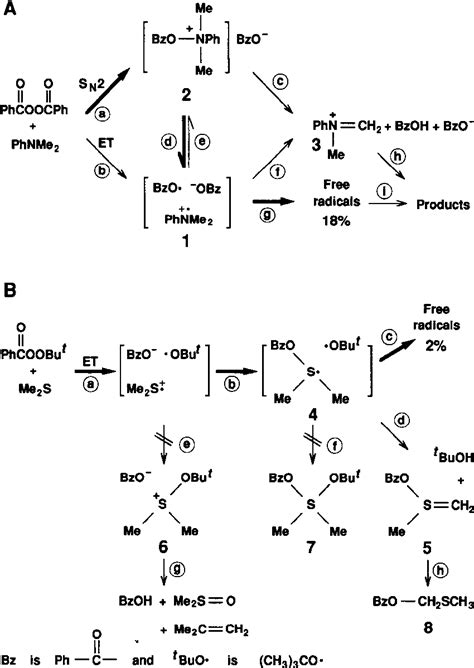 Peroxynitrite | Semantic Scholar