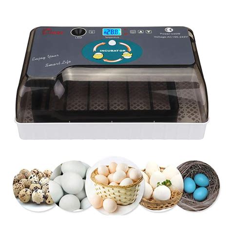 Buy Egg Incubators For Hatching Eggs With Automatic Turner Poultry Hatcher Machine General