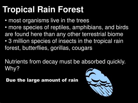 Ppt Biomes Powerpoint Presentation Free Download Id 98946