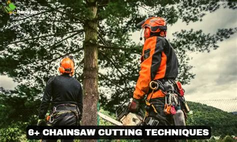 Top 7 Chainsaw Cutting Techniques for Beginners and Pros