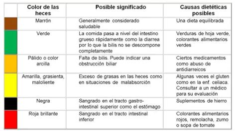 Los Colores Y Formas De Las Heces Y Su Significado