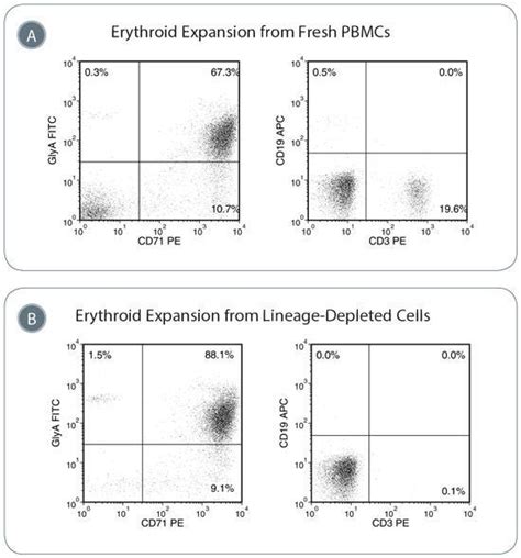 Erythroid Progenitor To Ipsc Reprogramming Kit Stemcell Technologies