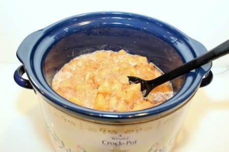 Crockpot Honeycrisp Applesauce | ThriftyFun