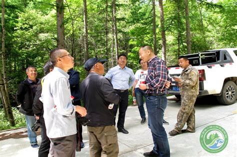 甘肃省三北防护林建设局局长马立鹏一行到党川林场调研指导工作 党川林场 甘肃省小陇山林业保护中心官方网站