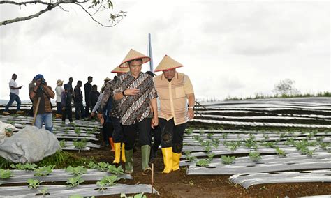 Pj Gubernur Sumut Hassanudin Optimis Dairi Bisa Jadi Lumbung Pangan