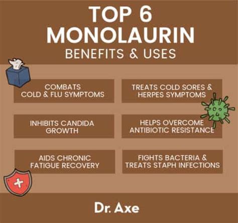 Monolaurin Benefits, Uses, Side Effects, Sources and Interactions - Dr. Axe