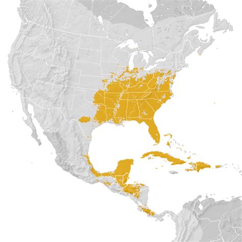 Yellow Throated Warbler Range Map Post Breeding Migration Ebird Status And Trends