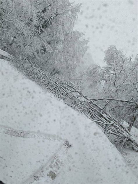 Na Obmo Ju Pu Celje Do Popoldneva Okoli Prometnih Nesre Avtocesta