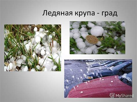 Презентация на тему: "Установление постоянного снежного покрова урок ...