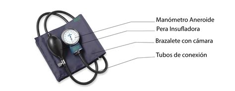 Cuales Son Los Diferentes Tipos De Tensi Metros Cirug A Rex