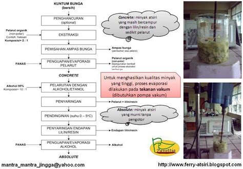 ESSENTIAL OIL CORNER Engineered Indonesian Essential Oil Heritage