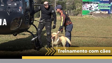 Bombeiros de 15 estados participam de treinamento cães em Xanxerê