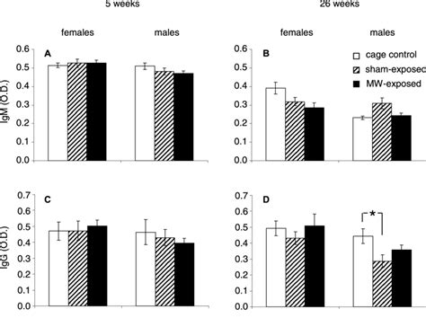 Early And Late Effects Of Prenatal Exposure To WiFi Signals On Ex Vivo