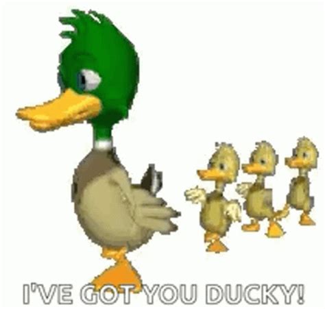 Baby Ducks Cartoon GIFs | Tenor