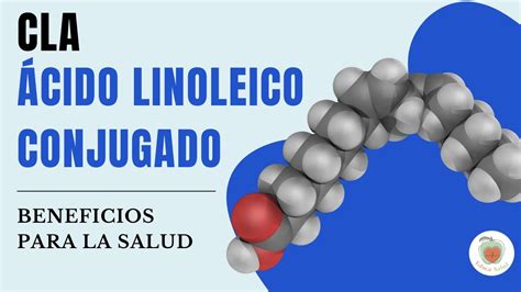 Cla Cido Linoleico Conjugado Para Qu Sirve Youtube