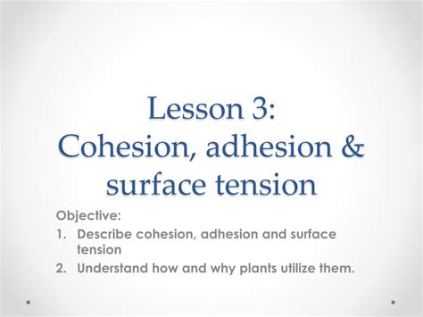 PPT - Lesson 3: Cohesion, adhesion & surface tension PowerPoint ...