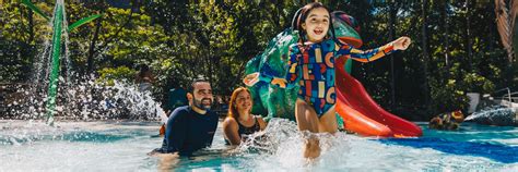 7 brincadeiras para fazer na piscina toda a família