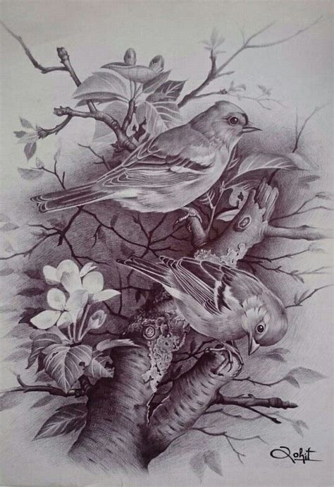 A Drawing Of Three Birds Sitting On Top Of A Tree Branch With Flowers