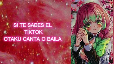 Si Te Sabes El Tiktok Otaku Canta O Baila Youtube