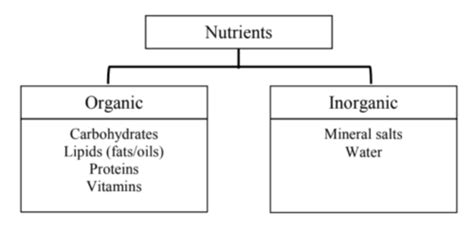 Microbial Nutrition Ecology And Growth Flashcards Quizlet