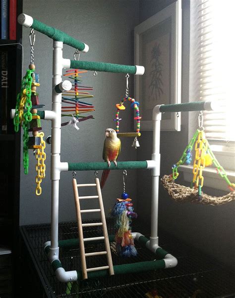 Bird Perches Diy Images