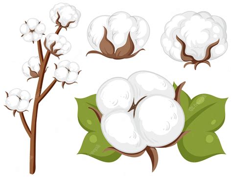 Free Stock Cotton Clipart Cotton Clip Art Png Transparent Png Clip