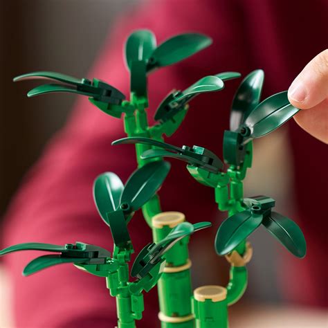 LEGO Botanicals 10344 Dracena Sandera Ceny I Opinie Ceneo Pl